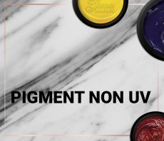 Pigments NON UV/LED  Paste
